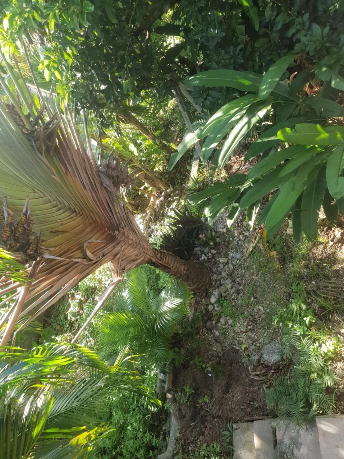 Bungalow Nature Gosier Centre Le Gosier  Εξωτερικό φωτογραφία
